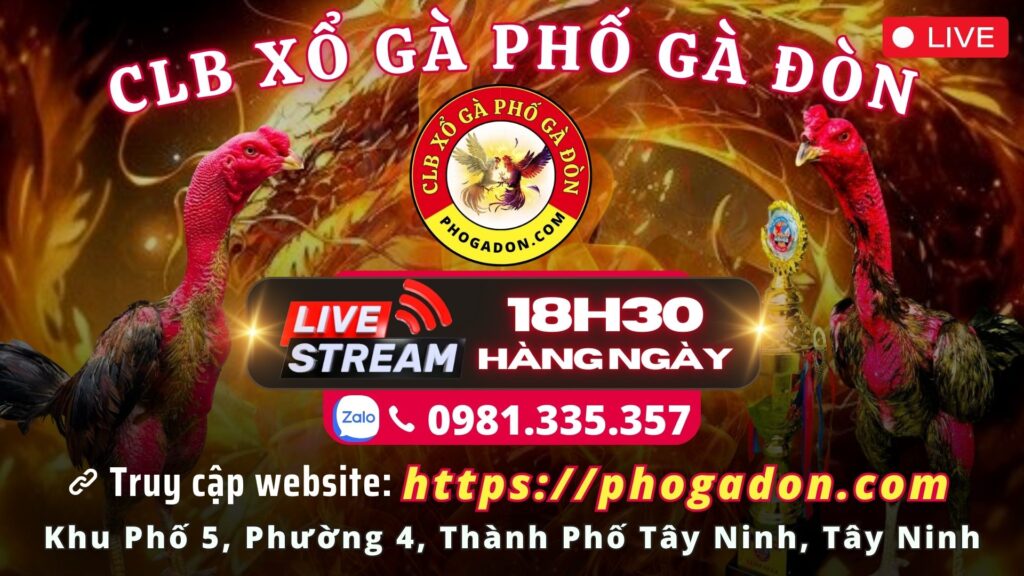 Video xổ gà ngày 20/9 – CLB Xổ Gà Phố Gà Đòn